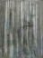 Picture of BIRCH FOREST ABSTRACTS I