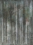 Picture of BIRCH FOREST ABSTRACTS II