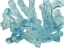 Picture of BLUE MACRO CORAL IV