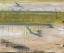 Picture of AQUATIC REFLECTIONS I