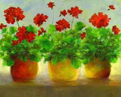 Picture of GERANIUMS III