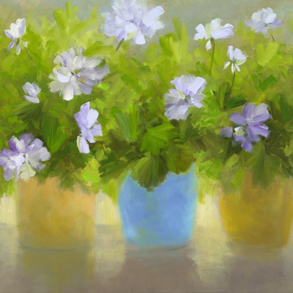 Picture of GERANIUMS IV