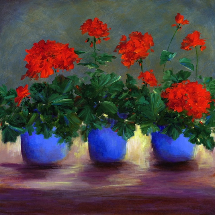 Picture of GERANIUMS V