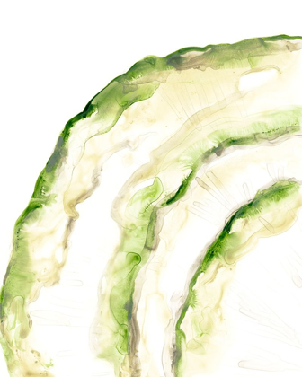 Picture of LICHEN HALO I