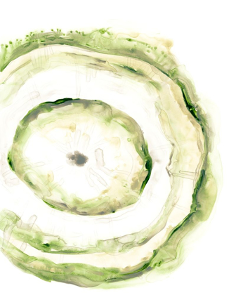 Picture of LICHEN HALO III