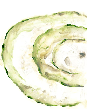 Picture of LICHEN HALO V