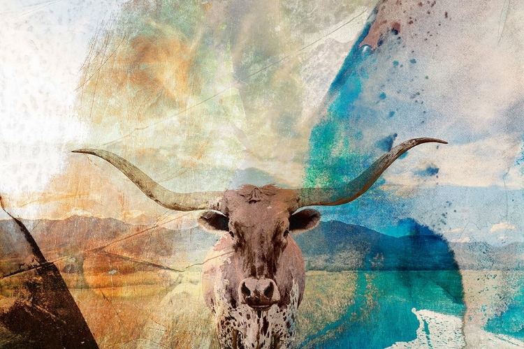 Picture of LONGHORN