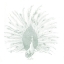 Picture of SAGE PEACOCK I