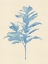 Picture of VERDITER FIG I