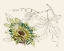 Picture of PASSIONFLOWER III