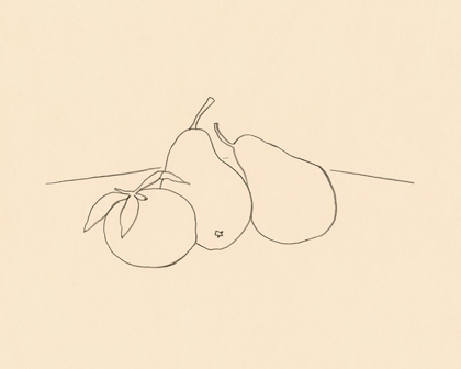 Picture of FRUIT LINE DRAWING IV