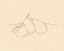 Picture of FRUIT LINE DRAWING IV