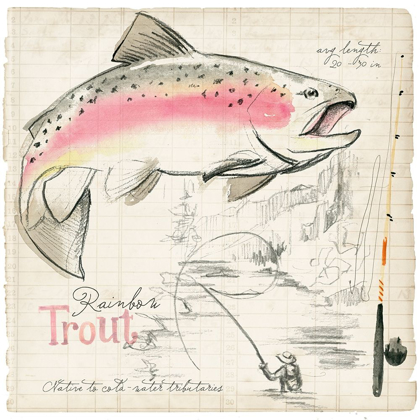 Picture of TROUT JOURNAL I