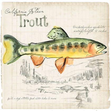 Picture of TROUT JOURNAL IV