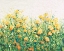 Picture of GARDEN IN BLOOM III