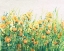 Picture of GARDEN IN BLOOM IV