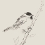 Picture of BLACK CAPPED CHICKADEE I