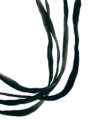 Picture of ONYX RIBBON I