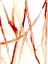 Picture of RUNNEL VI