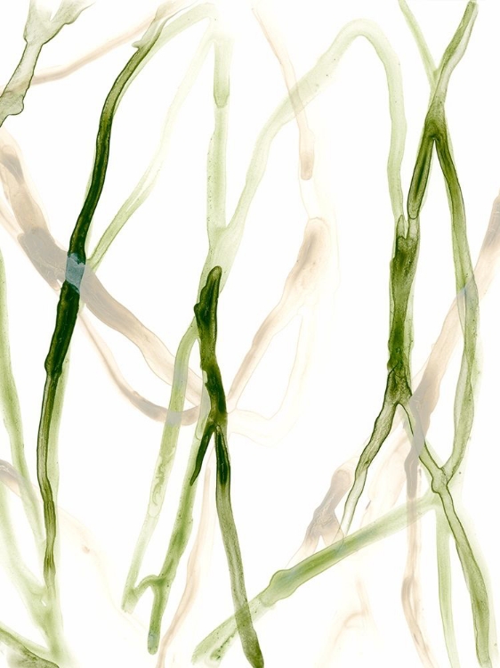 Picture of RUNNEL VIII