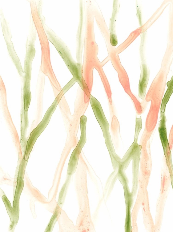 Picture of RUNNEL XIII