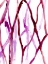 Picture of RUNNEL XVI