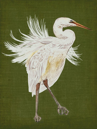 Picture of HERON PLUMAGE I