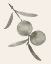 Picture of TWILIGHT ORANGES III