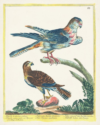 Picture of PASTEL BIRDS III