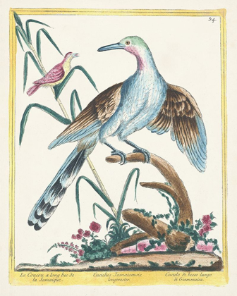 Picture of PASTEL BIRDS V