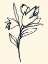 Picture of FLORAL MARKER I