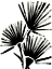 Picture of FAN BRUSH I