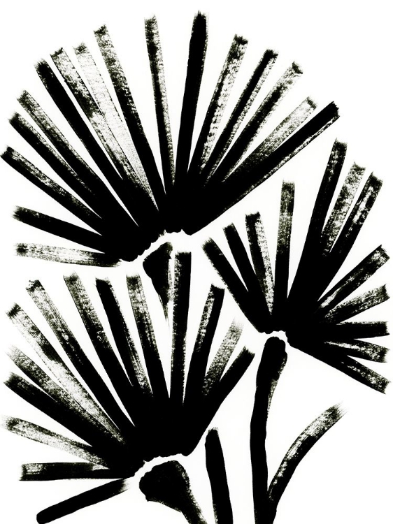 Picture of FAN BRUSH II