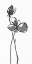 Picture of UNCOMPLICATED STEMS I