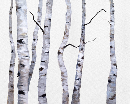 Picture of BIRCH TREES I