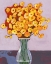 Picture of DAISY BOUQUET I