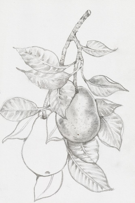 Picture of FRUIT-BEARING BRANCH III