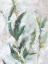 Picture of TROPICAL FOLIAGE STUDY II