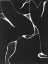 Picture of NIGHT BLOOM II