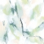 Picture of MINT FISSURE I