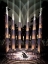 Picture of NOCTURNE