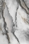 Picture of ABSTRACT INK FANTASY I