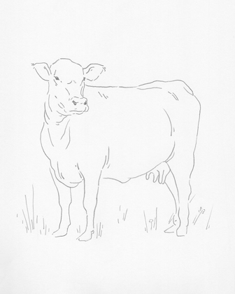 Picture of LIMOUSIN CATTLE II