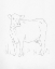 Picture of LIMOUSIN CATTLE II