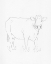 Picture of LIMOUSIN CATTLE III