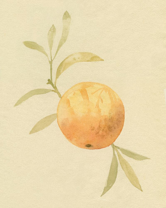 Picture of DAPPLED ORANGES IV