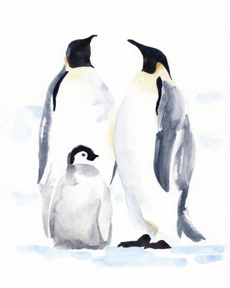 Picture of EMPEROR PENGUINS II