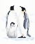 Picture of EMPEROR PENGUINS II