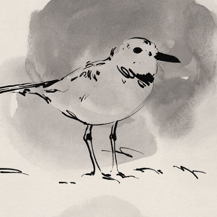 Picture of INKY PLOVER III