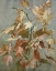 Picture of ANCIENT AUTUMN II